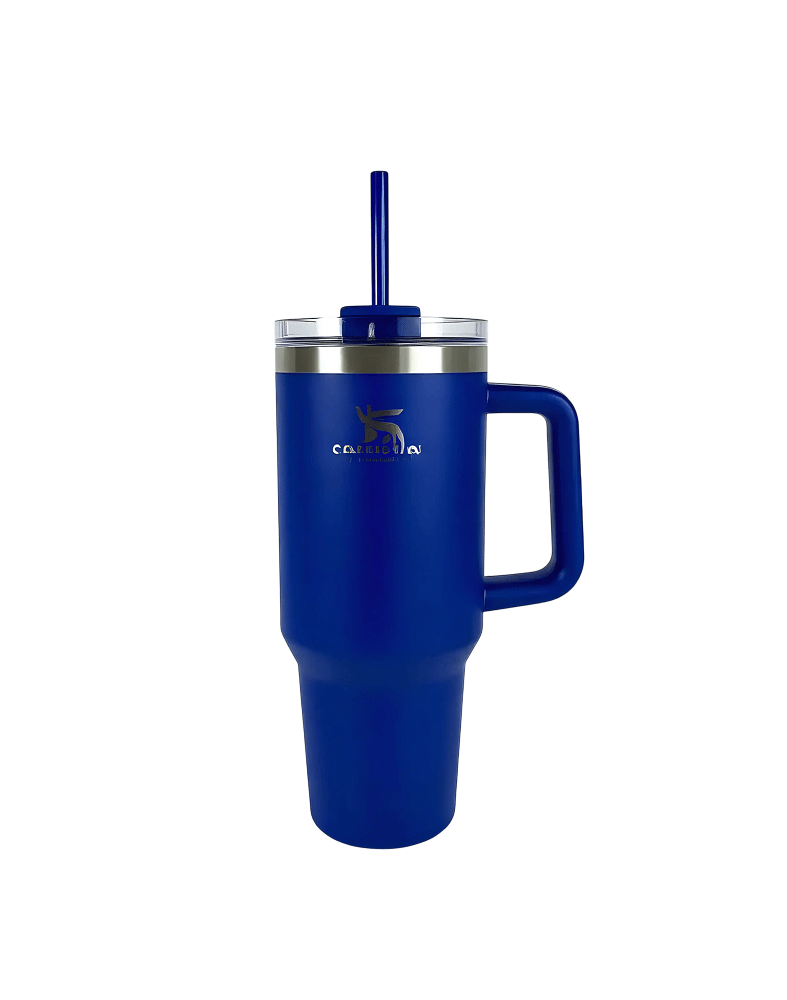 ChillCore Thermal Bottle